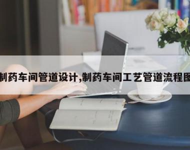 制药车间管道设计,制药车间工艺管道流程图