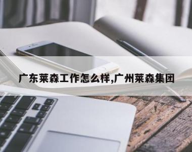 广东莱森工作怎么样,广州莱森集团