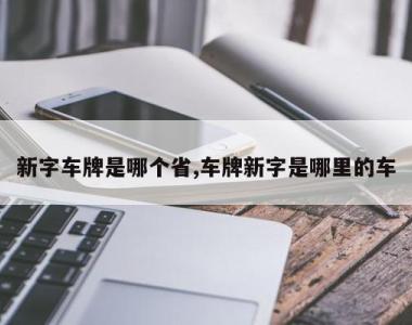 新字车牌是哪个省,车牌新字是哪里的车