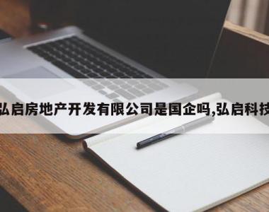 弘启房地产开发有限公司是国企吗,弘启科技