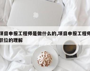 项目申报工程师是做什么的,项目申报工程师职位的理解