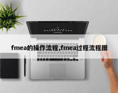 fmea的操作流程,fmea过程流程图