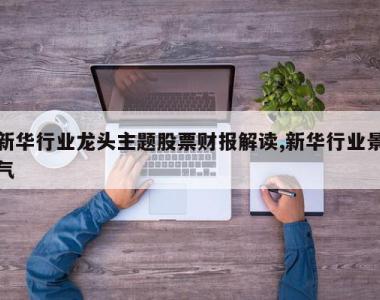 新华行业龙头主题股票财报解读,新华行业景气