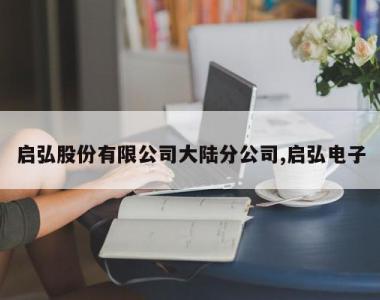 启弘股份有限公司大陆分公司,启弘电子